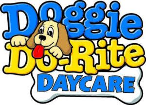 doggie daycare
