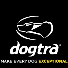 dogtra training equipment